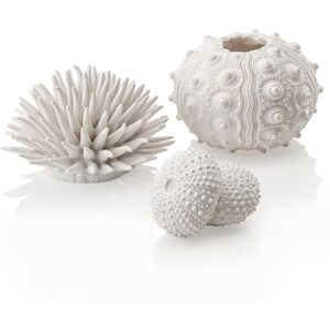 biOrb Fish Tank Decorations, Sea Urchin Aquarium Ornament Set (3 x White), Beautiful Detailed Artificial Fish Tank Accessories To Add Colour, Natural-Looking Aquarium Decor For Scenic Background biOrb Fish Tank Decorations, Sea Urchin Aquarium Ornament Set (3 x White), Beautiful Detailed Artificial Fish Tank Accessories To Add Colour, Natural-Looking Aquarium Decor For Scenic Background