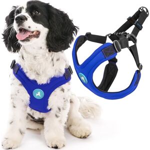 Gooby Escape Free Sport Harness - Blue - No Pull - Medium Dog Harness Gooby Escape Free Sport Harness - Blue - No Pull - Medium Dog Harness
