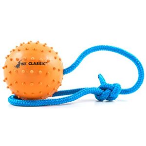 Ahead TM Rubber Dog Ball Launcher Training, Exercise and Reward Toy Police K-9 Schutzhund Dog Chew Toy (2.75") Ahead TM Rubber Dog Ball Launcher Training, Exercise and Reward Toy Police K-9 Schutzhund Dog Chew Toy (2.75")