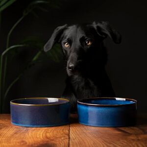Scruffs Ceramic Heavy Duty Reactive Glaze Pet Bowls 2pc Set Midnight Blue 19cm Scruffs Ceramic Heavy Duty Reactive Glaze Pet Bowls 2pc Set Midnight Blue 19cm