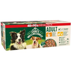 James Wellbeloved Adult Dog Food Mixed Selection in Gravy Pouch 48 x 90 g James Wellbeloved Adult Dog Food Mixed Selection in Gravy Pouch 48 x 90 g