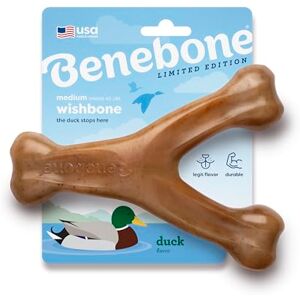 Benebone Wishbone Durable Dog Chew Toy for Aggressive Chewers, Duck, Made in USA, Medium Benebone Wishbone Durable Dog Chew Toy for Aggressive Chewers, Duck, Made in USA, Medium