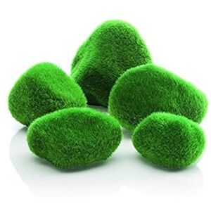 biOrb Fish Tank Decorations, Moss-Covered Pebble Set Aquarium Ornament (Green, 5 Stones Per Set), Beautiful Fish Tank Accessories To Add Colour, Natural-Looking Aquarium Decor For Scenic Background biOrb Fish Tank Decorations, Moss-Covered Pebble Set Aquarium Ornament (Green, 5 Stones Per Set), Beautiful Fish Tank Accessories To Add Colour, Natural-Looking Aquarium Decor For Scenic Background