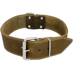 JACK AND VANILLA , Leather Dog Collar, Large, Comfortable and Durable, Secure Buckle, Adjustable, Green, 30 mm x 40 cm, Fat Leather JACK AND VANILLA , Leather Dog Collar, Large, Comfortable and Durable, Secure Buckle, Adjustable, Green, 30 mm x 40 cm, Fat Leather