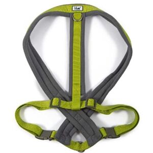 Ancol Viva Padded Harness Lime XL - Pet Harness Ancol Viva Padded Harness Lime XL - Pet Harness