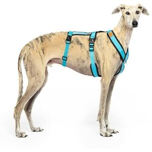 Dog Harness - Sky Blue, XS - Anti-Pull, Adjustable, Breathable, Durable - for Greyhounds, Whippets, Podencos Dog Harness - Sky Blue, XS - Anti-Pull, Adjustable, Breathable, Durable - for Greyhounds, Whippets, Podencos