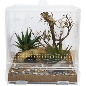 Lucky Reptile LifeTarrium 20 x 20 x 20 cm Lucky Reptile LifeTarrium 20 x 20 x 20 cm