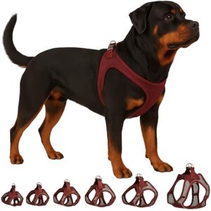Flamingo Step-Go Bento Harness – Aubergine, XXL (A:52-57 cm, B:56-62 cm, 3 mm), Comfortable and Adjustable, Ideal for Labrador, Golden Retriever, Dalmatian, Boxer, etc. Flamingo Step-Go Bento Harness – Aubergine, XXL (A:52-57 cm, B:56-62 cm, 3 mm), Comfortable and Adjustable, Ideal for Labrador, Golden Retriever, Dalmatian, Boxer, etc.