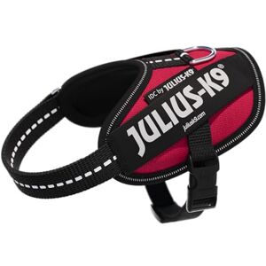 Julius-K9 IDC Magenta Dog Harness - Harness Julius-K9 IDC Magenta Dog Harness - Harness