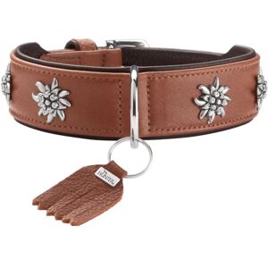HUNTER Munich Dog Collar Colour: Cognac/Black, Leather, Elegant Costume Details, Soft and Robust, Fur Friendly, Luxurious, Ecologically Produced, Sustainable, Made in Germany, Size: 50 HUNTER Munich Dog Collar Colour: Cognac/Black, Leather, Elegant Costume Details, Soft and Robust, Fur Friendly, Luxurious, Ecologically Produced, Sustainable, Made in Germany, Size: 50