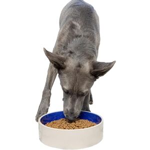 SPOT Ethical 9-1/2-Inch Stoneware Crock Dog Dish SPOT Ethical 9-1/2-Inch Stoneware Crock Dog Dish