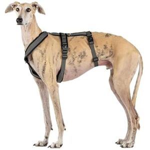 CandyPet Italian Greyhound Escape-proof Harness - Dog Collar CandyPet Italian Greyhound Escape-proof Harness - Dog Collar