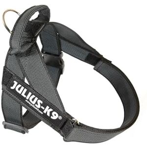 Julius-K9 Belt Harness, Black, Gray, M/0 Julius-K9 Belt Harness, Black, Gray, M/0
