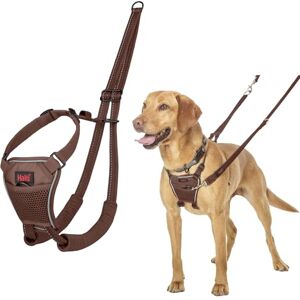HALTI No Pull Harness - Medium Dog - Reflective, Adjustable, Lightweight HALTI No Pull Harness - Medium Dog - Reflective, Adjustable, Lightweight