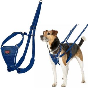 Halti No Pull Harness To Stop Your Dog Pulling on the Leash. Adjustable, Lightweight and Easy to Use. Reflective Dog Training Harness for Toy and Small Dogs (Size XS, Cobalt Blue) Halti No Pull Harness To Stop Your Dog Pulling on the Leash. Adjustable, Lightweight and Easy to Use. Reflective Dog Training Harness for Toy and Small Dogs (Size XS, Cobalt Blue)