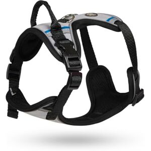 Petface Outdoor Paws Adventure Dog Harness, Silver/Grey, Small (Pack of 1) Petface Outdoor Paws Adventure Dog Harness, Silver/Grey, Small (Pack of 1)