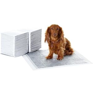Amazon Basics Carbon Odour-Control Dog and Puppy Training Pads, Leakproof with Quick-Dry Surface, Regular, Pack of 80, Grey Amazon Basics Carbon Odour-Control Dog and Puppy Training Pads, Leakproof with Quick-Dry Surface, Regular, Pack of 80, Grey
