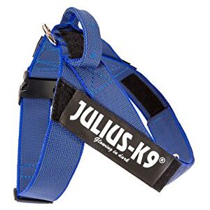 Julius-K9 , IDC Color & Gray Belt Harness, Size: 2XL / 3, Blue-Gray Julius-K9 , IDC Color & Gray Belt Harness, Size: 2XL / 3, Blue-Gray