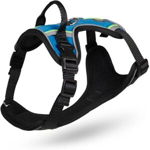 Petface Outdoor Paws Adventure Adjustable Dog Harness with Reflective Strips, Easy Control with Sturdy Handle, Blue, For Small Breeds (Pack of 1) Petface Outdoor Paws Adventure Adjustable Dog Harness with Reflective Strips, Easy Control with Sturdy Handle, Blue, For Small Breeds (Pack of 1)