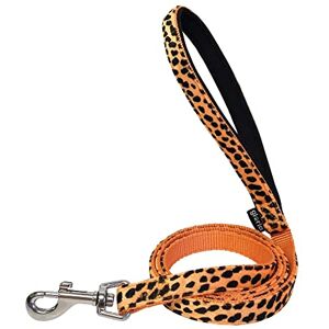 GLORIA LO MEJOR PARA TU MEJOR AMIGO GLORIA leopard belt GLORIA LO MEJOR PARA TU MEJOR AMIGO GLORIA leopard belt