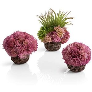 biOrb Fish Tank Decorations, Aquatic Coral Ball (3 x Purple Aquarium Plants), Artificial Fish Tank Plants To Add Colour & Interest, Beautiful & Natural-Looking Aquarium Decor For Scenic Background biOrb Fish Tank Decorations, Aquatic Coral Ball (3 x Purple Aquarium Plants), Artificial Fish Tank Plants To Add Colour & Interest, Beautiful & Natural-Looking Aquarium Decor For Scenic Background