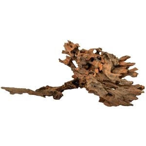 Amtra Honeycomb Wood Size M 30-50 cm, Natural Wood Decoration for Aquariums, Natural Trunk Ornamental Ornament, Terrarium Decoration Accessory Amtra Honeycomb Wood Size M 30-50 cm, Natural Wood Decoration for Aquariums, Natural Trunk Ornamental Ornament, Terrarium Decoration Accessory
