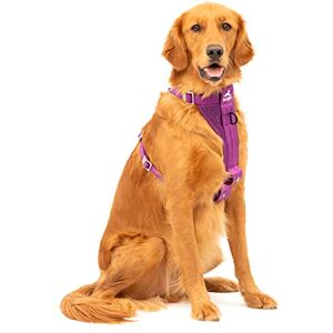 Kurgo Enhanced Strenght Tru-Fit Smart Harness, Purple, Extra Large Kurgo Enhanced Strenght Tru-Fit Smart Harness, Purple, Extra Large