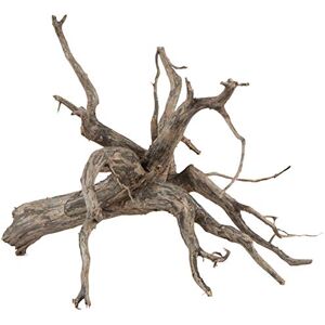 sera Scaper Root (Price Per Root) Various Sizes Natural Wood Decoration for Aquarium Decoration Aquascaping sera Scaper Root (Price Per Root) Various Sizes Natural Wood Decoration for Aquarium Decoration Aquascaping