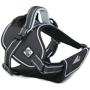 Ancol Extreme Harness Red Heavy Duty Pet Harness for Dogs and Puppies Padded Breathable Mesh Lining with Sports Buckle and Grab Handle Large Size Girth 71-96cm Ancol Extreme Harness Red Heavy Duty Pet Harness for Dogs and Puppies Padded Breathable Mesh Lining with Sports Buckle and Grab Handle Large Size Girth 71-96cm