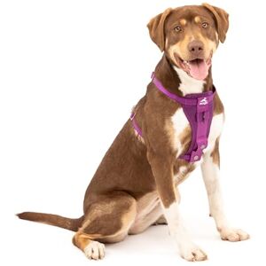 Kurgo Enhanced Strenght Tru-Fit Smart Harness, Purple, Medium Kurgo Enhanced Strenght Tru-Fit Smart Harness, Purple, Medium