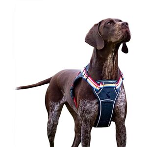 Rosewood x Joules Rainbow Stripe Dog Harness, Medium, Adjustable Padded Reflective Harness with Handle for Walking, Training & Control for Medium Dogs Rosewood x Joules Rainbow Stripe Dog Harness, Medium, Adjustable Padded Reflective Harness with Handle for Walking, Training & Control for Medium Dogs