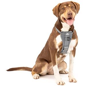 Kurgo Enhanced Strenght Tru-Fit Smart Harness, Charcoal, Medium Kurgo Enhanced Strenght Tru-Fit Smart Harness, Charcoal, Medium