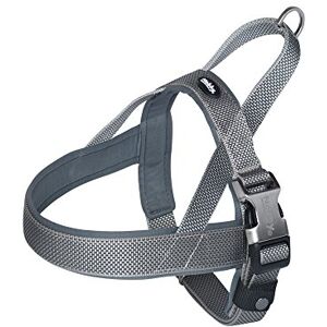 Nobby Norwegian Crockery Classic Preno Royal Grey L 50-64 cm + 42 cm W 25/35 mm Pack of 1 Nobby Norwegian Crockery Classic Preno Royal Grey L 50-64 cm + 42 cm W 25/35 mm Pack of 1