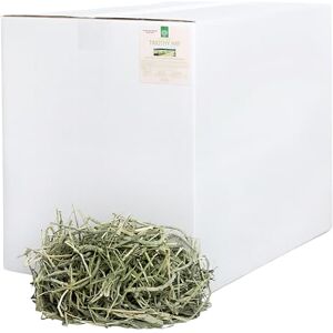 SMALL PET SELECT 1st Cut Timothy Hay Pet Food for Rabbits, Guinea Pigs, and Other Small Animals, Easy to Store Box, 40 LB (18kg) SMALL PET SELECT 1st Cut Timothy Hay Pet Food for Rabbits, Guinea Pigs, and Other Small Animals, Easy to Store Box, 40 LB (18kg)
