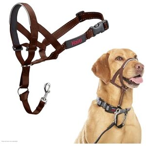 Halti Headcollar - Dog Anti-Pull Training Collar - Medium Size 3 Halti Headcollar - Dog Anti-Pull Training Collar - Medium Size 3