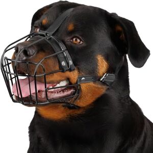 BRONZEDOG Dog Muzzle Adjustable Durable PVC Wire Basket for Large and Extra Large Dogs with Leather Straps Breathable, Drinkable, Training, Prevents Biting (PVC, Rottweiler) BRONZEDOG Dog Muzzle Adjustable Durable PVC Wire Basket for Large and Extra Large Dogs with Leather Straps Breathable, Drinkable, Training, Prevents Biting (PVC, Rottweiler)