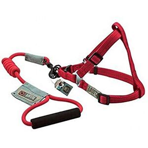 Zeus 99392 Harness and Leash for Dog Arista Round L, Red Zeus 99392 Harness and Leash for Dog Arista Round L, Red