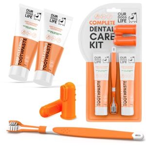 Unknown - Triple Headed Toothbrush Kit - Dog Dental Care Unknown - Triple Headed Toothbrush Kit - Dog Dental Care
