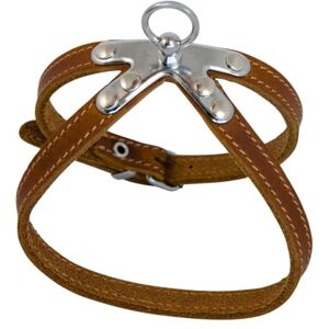 JACK AND VANILLA , Cognac Fat Leather Dog Harness, Optimal Comfort, Elegant Design, Easy to Use, Reinforced Safety, Size 10 mm x 25 cm, Cognac, Leather Model JACK AND VANILLA , Cognac Fat Leather Dog Harness, Optimal Comfort, Elegant Design, Easy to Use, Reinforced Safety, Size 10 mm x 25 cm, Cognac, Leather Model