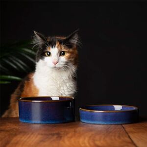 Scruffs Ceramic Heavy Duty Reactive Glaze Cat Bowls 2pc Set Midnight Blue Scruffs Ceramic Heavy Duty Reactive Glaze Cat Bowls 2pc Set Midnight Blue