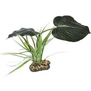 Komodo Woodland Canopy - Pp - Komodo Woodland Canopy - Pp -