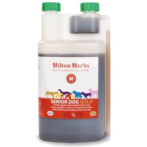 Hilton Herbs Canine Senior Gold Herbal Solution 1 Litre Hilton Herbs Canine Senior Gold Herbal Solution 1 Litre