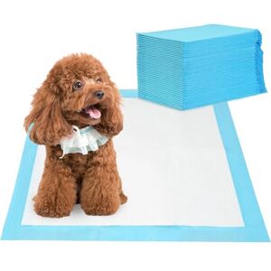 Barpor Puppy Training Pads 40 Pack Large Dog Training Pads 60x60cm Super Absorbent Leak-Proof Anti-Slip Heavy Duty, 5-Layer Design with Quick Dry Surface Barpor Puppy Training Pads 40 Pack Large Dog Training Pads 60x60cm Super Absorbent Leak-Proof Anti-Slip Heavy Duty, 5-Layer Design with Quick Dry Surface