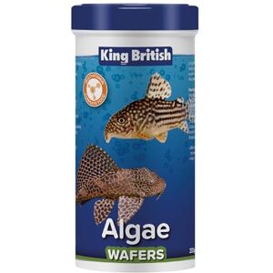 King British – Algae Wafers 200g – Multi-Vitamin Complete Sinking Fish Food – For Bottom Feeding Catfish, Plecostomus & Algae Eating Fish Natural Ingredients King British – Algae Wafers 200g – Multi-Vitamin Complete Sinking Fish Food – For Bottom Feeding Catfish, Plecostomus & Algae Eating Fish Natural Ingredients