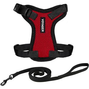 Best Pet Supplies Voyageur Lock Cat Harness - Reflective, 5ft, Small-XL Best Pet Supplies Voyageur Lock Cat Harness - Reflective, 5ft, Small-XL