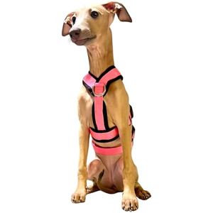 Austrian Greyhound Pink Anti-Pull 3-Point Dog Harness - Dog Type Austrian Greyhound Pink Anti-Pull 3-Point Dog Harness - Dog Type