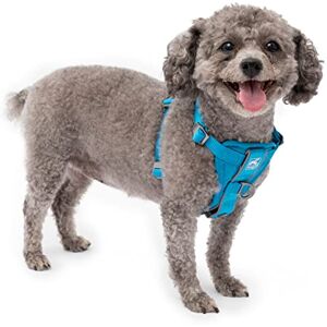 Kurgo Dog Harness Pet Walking Harness Car Harness for Dogs Front D-Ring for No Pull Training Includes Dog Seat Belt Tether Tru-Fit Smart Harness Blue X-Small Kurgo Dog Harness Pet Walking Harness Car Harness for Dogs Front D-Ring for No Pull Training Includes Dog Seat Belt Tether Tru-Fit Smart Harness Blue X-Small