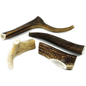 CLASSIC Natural Deer Antler Dog Chew XL, 6 Inches (16cm), 150-200g Long-Lasting, All-Natural Dental Chew for Extra Large Dogs Promotes Healthy Teeth and Gums CLASSIC Natural Deer Antler Dog Chew XL, 6 Inches (16cm), 150-200g Long-Lasting, All-Natural Dental Chew for Extra Large Dogs Promotes Healthy Teeth and Gums