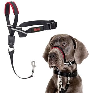 Company of Animals HALTI Optifit Headcollar Size Large, Dog Head Harness to Stop Pulling on the Lead, Easy to Use, Adjustable & Reflective Head Collar for Dogs, Professional Anti-Pull Training Aid, Black Company of Animals HALTI Optifit Headcollar Size Large, Dog Head Harness to Stop Pulling on the Lead, Easy to Use, Adjustable & Reflective Head Collar for Dogs, Professional Anti-Pull Training Aid, Black