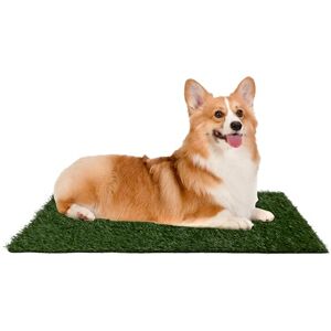 Petmaker Artificial Grass Puppy Pee Pad for Dogs and Small Pets 20x25 Reusable 3-Layer Training Potty Pad with Tray Dog Housebreaking Supplies by ,Green Petmaker Artificial Grass Puppy Pee Pad for Dogs and Small Pets 20x25 Reusable 3-Layer Training Potty Pad with Tray Dog Housebreaking Supplies by ,Green